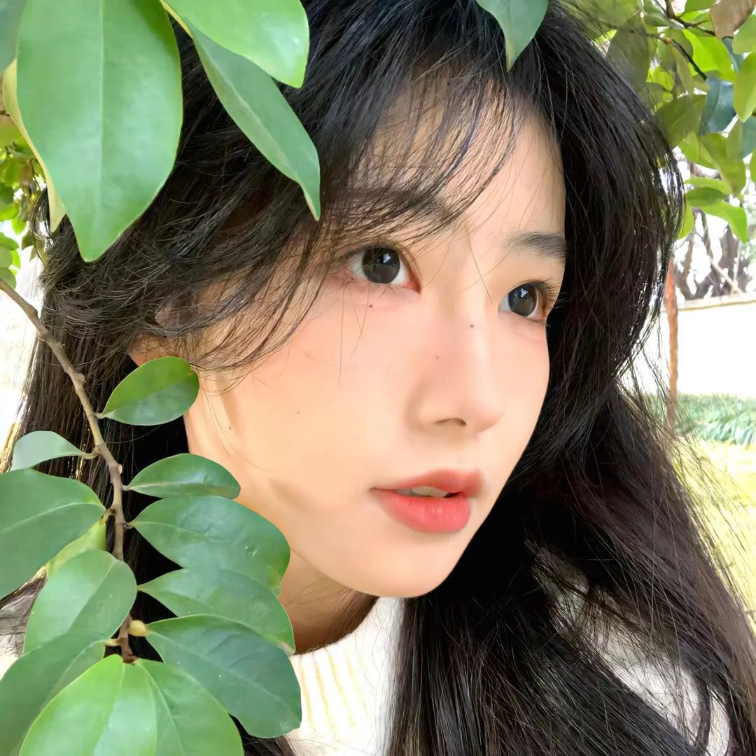 美丽城